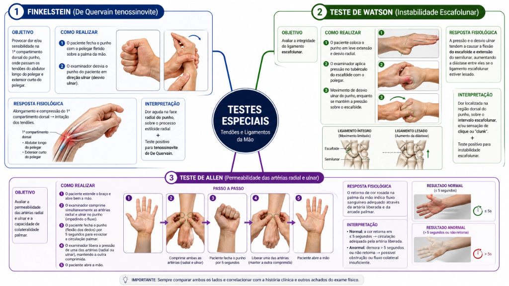 Testes Especiais - Punho e Mão
